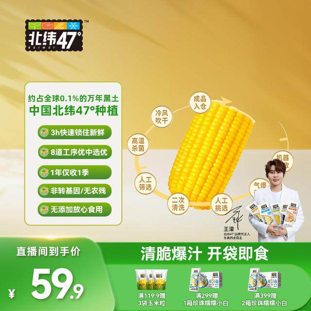 与辉同款玉米段北纬47水果玉米有机黄糯白甜糯花糯黑糯真空包装