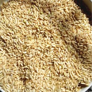 新米晚稻糙糯米长粒冬米客家特产月子酒娘酒甜酒糟酿酒专用米包邮