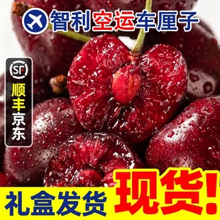 3JD桑提娜车厘子2J-4J新鲜水果内附果径卡800g/5斤原箱海运