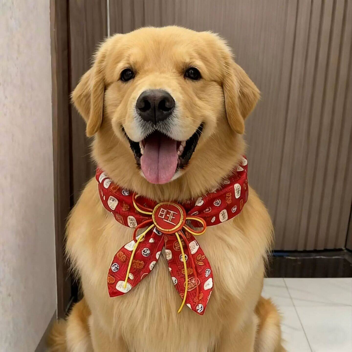 宠物狗狗小中大型犬围脖新年中国风红色喜庆围巾脖子装饰品口水巾