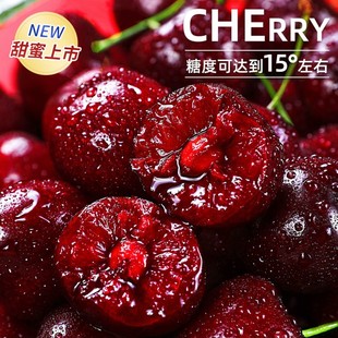 顺丰京东拉宾斯智利海运进口车厘子5斤脆甜2-4J内附果径卡