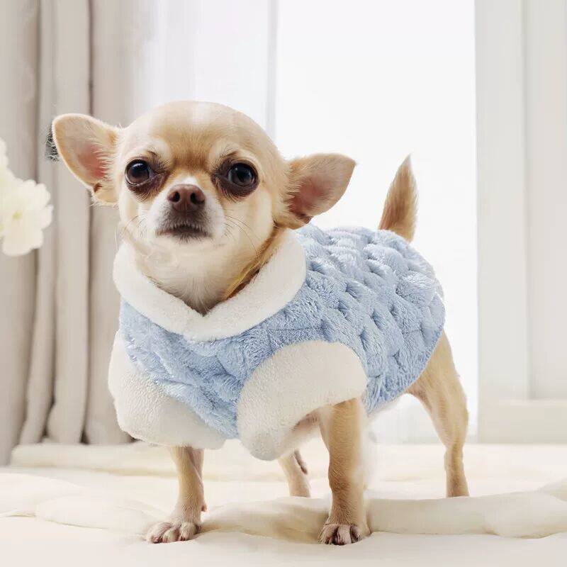 吉娃娃专用狗狗衣服秋冬季加绒加厚保暖马甲背心中小型犬冬天卫衣