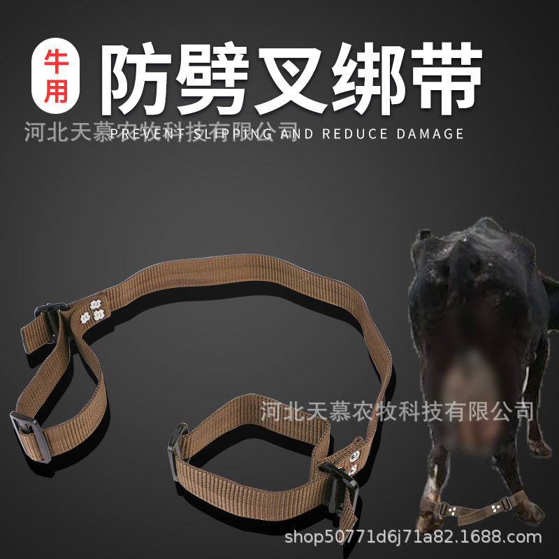 加厚奶牛用防劈叉带织带耐磨辅助牛站立防滑阻力带大牛防滑拉力带,畜牧/养殖物资,养殖用具,淘宝优惠券,粉丝福利购,淘宝优惠卷