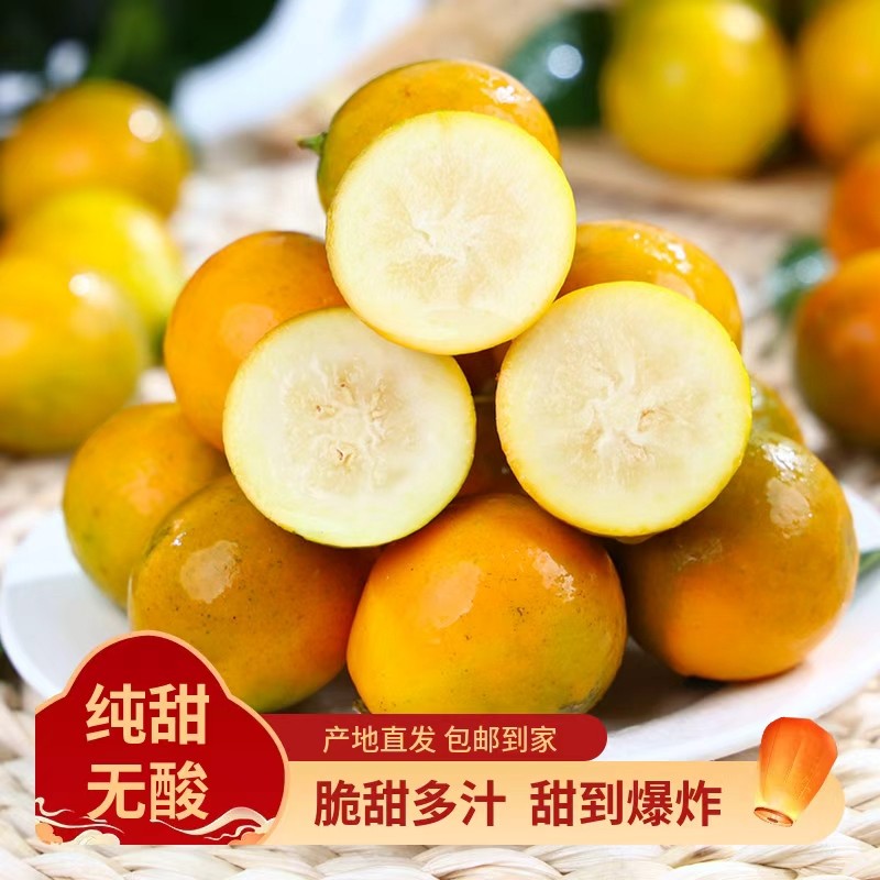 初鲜逸广西融安第二代滑皮金桔小金桔带皮吃纯甜不酸不麻应季脆甜