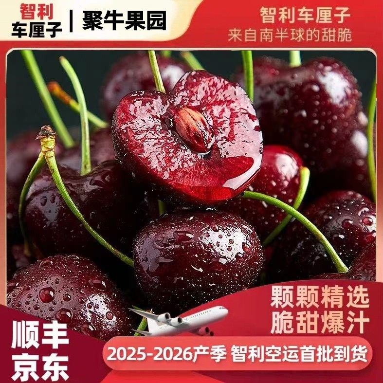 顺丰速运大连美早大樱桃应季水果J-5J陆运/空运内附果径卡S9-6