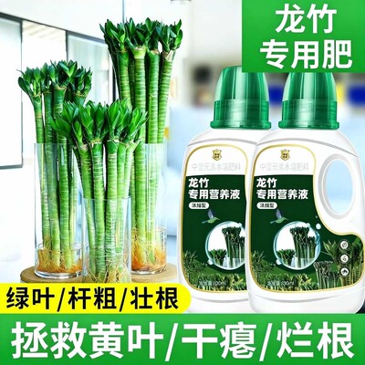 龙竹营养液浓缩型文昌竹叶子发黄水培植物生根肥富贵竹