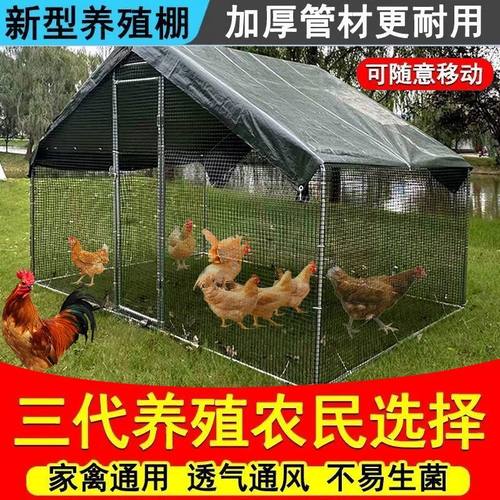 户外大型养殖专用遮风挡雨鸡鸽棚