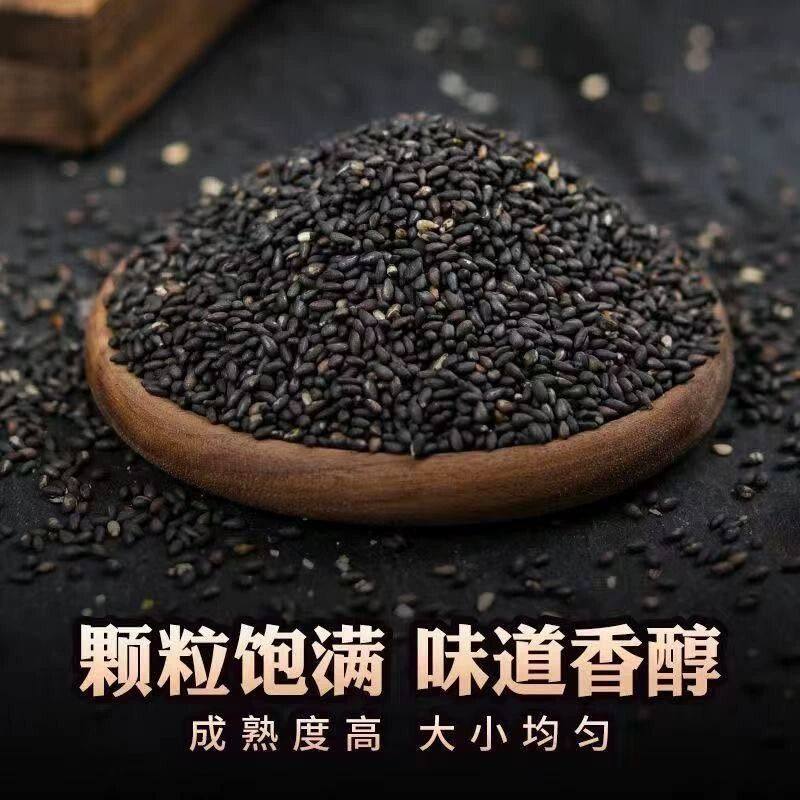 黑芝麻低温烘焙黑芝麻粒五谷杂粮磨粉原料现磨豆浆营养健康食品