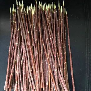 红柳枝羊肉串商用红柳枝签子红柳大串签子新疆红柳厂家直销