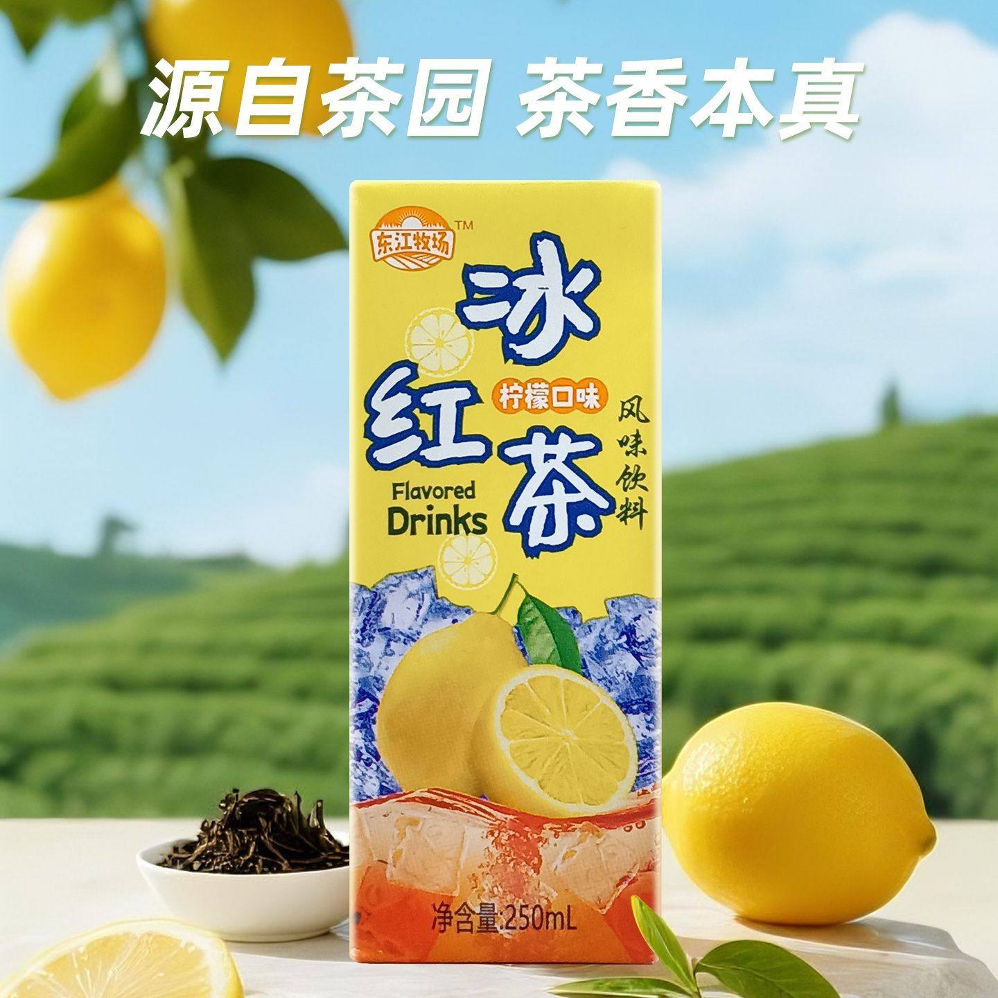 东江牧场冰红茶茶饮料风味果味饮品果汁250ml*10盒装整箱清仓,咖啡/麦片/冲饮,调味茶饮料,淘宝优惠券,粉丝福利购,淘宝优惠卷