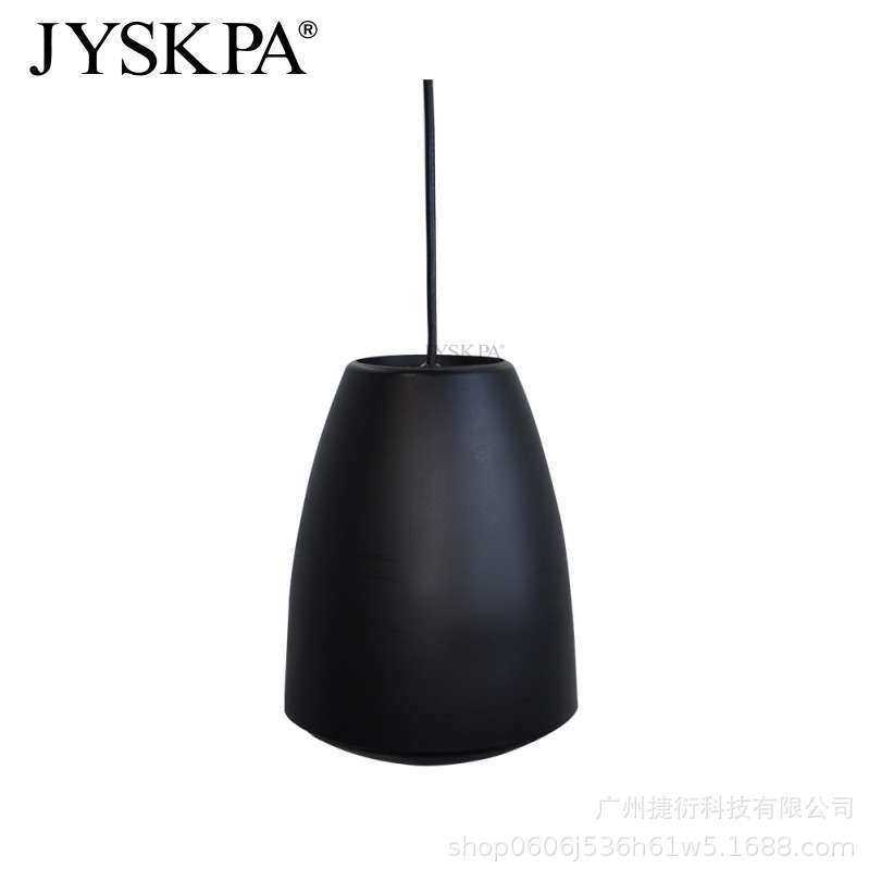 PJ430T 时尚吊顶音箱壁挂吊顶天花广播背景音乐商店铺音响