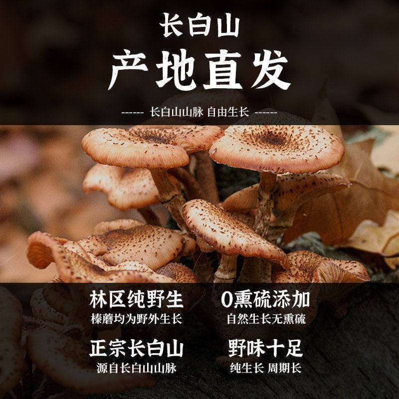 26年东北吉林长白山榛蘑500g干货小鸡炖蘑菇菌菇榛蘑丁香菇头官方