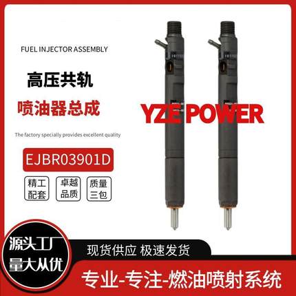 EJBR03901D/EJBR03902D喷油器总成配 33800-4X400