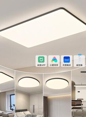 全光谱led灯吸顶灯家用长方形客厅大灯广东中山灯具套餐三室两厅