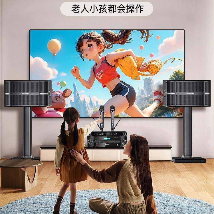 包邮A9家庭ktv音响套装卡拉ok家用组合音箱功放k歌影院设备图片