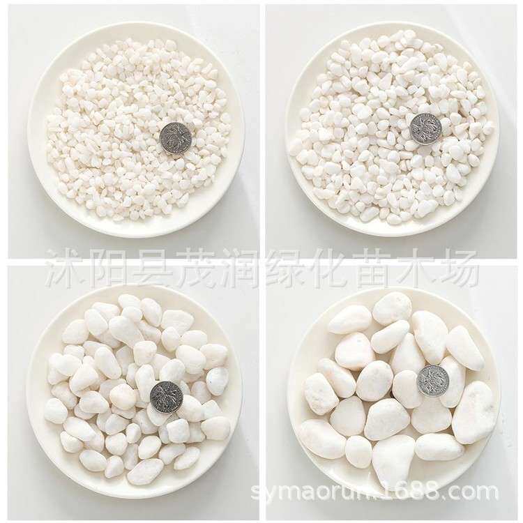 白石子鹅卵石白石头汉白玉彩石园艺盆栽石头多肉铺面庭院造景