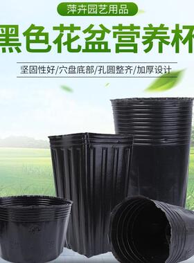 黑色营养钵普通塑料家庭园艺园林花卉专用育苗盆营养杯厂家