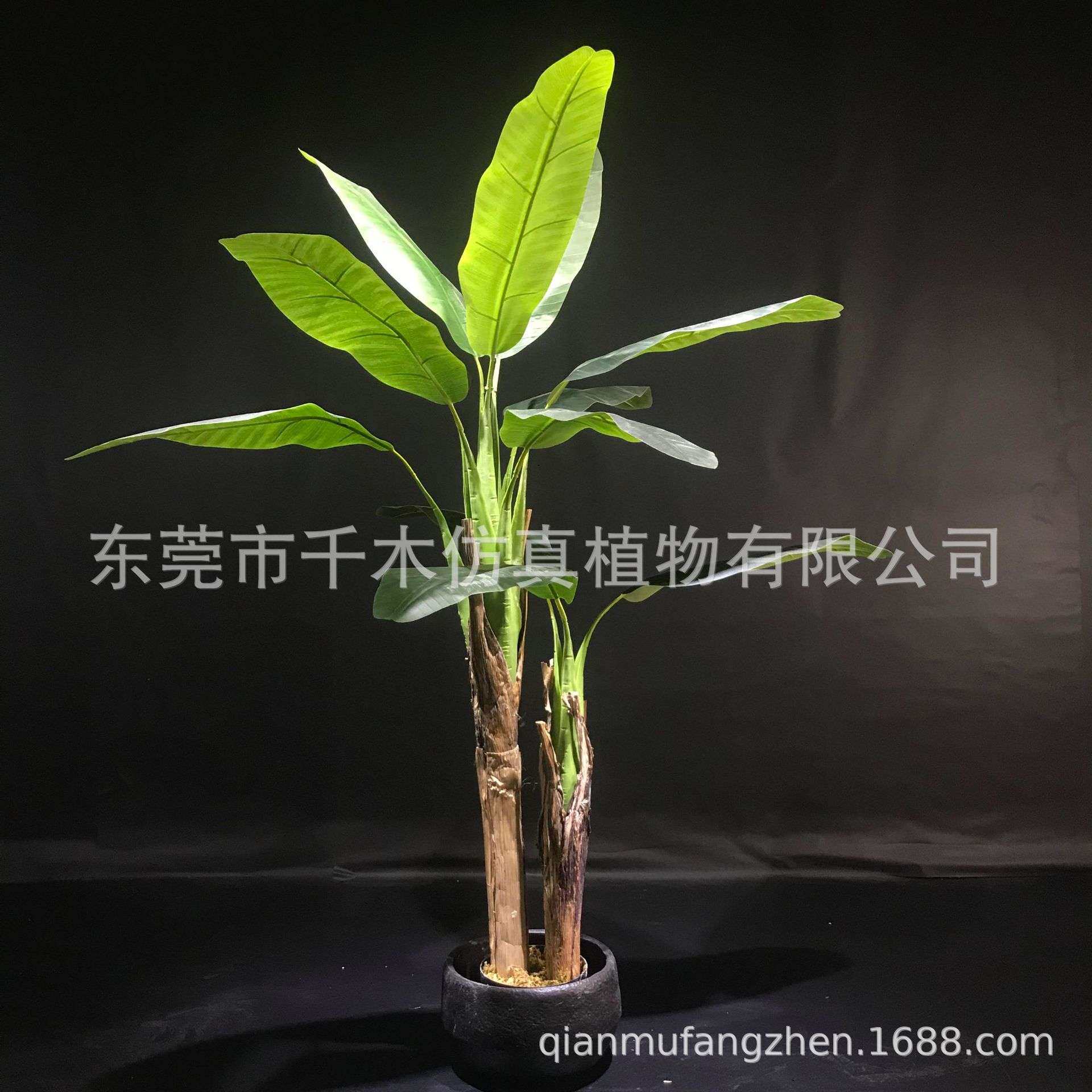 热带大型仿真芭蕉树盆栽植物室内外仿真树树大小树