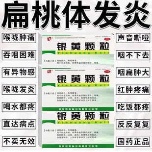 银黄颗粒中成药20袋咽炎咽喉炎慢性咽炎感冒药流鼻涕鼻塞咳嗽pt