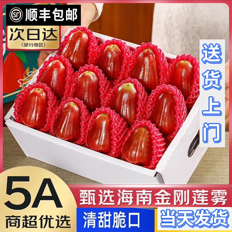 新鲜水果黑金刚莲雾果