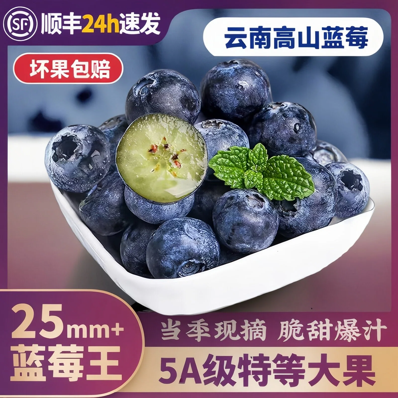 云南蓝莓鲜果特大礼盒