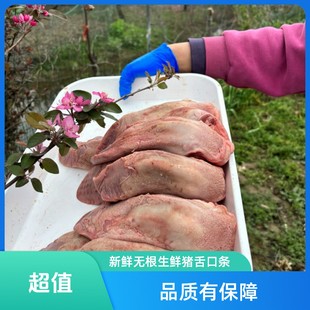 新鲜  无根猪舌头口条  速冻锁鲜冷链健康轻食凉拌食用