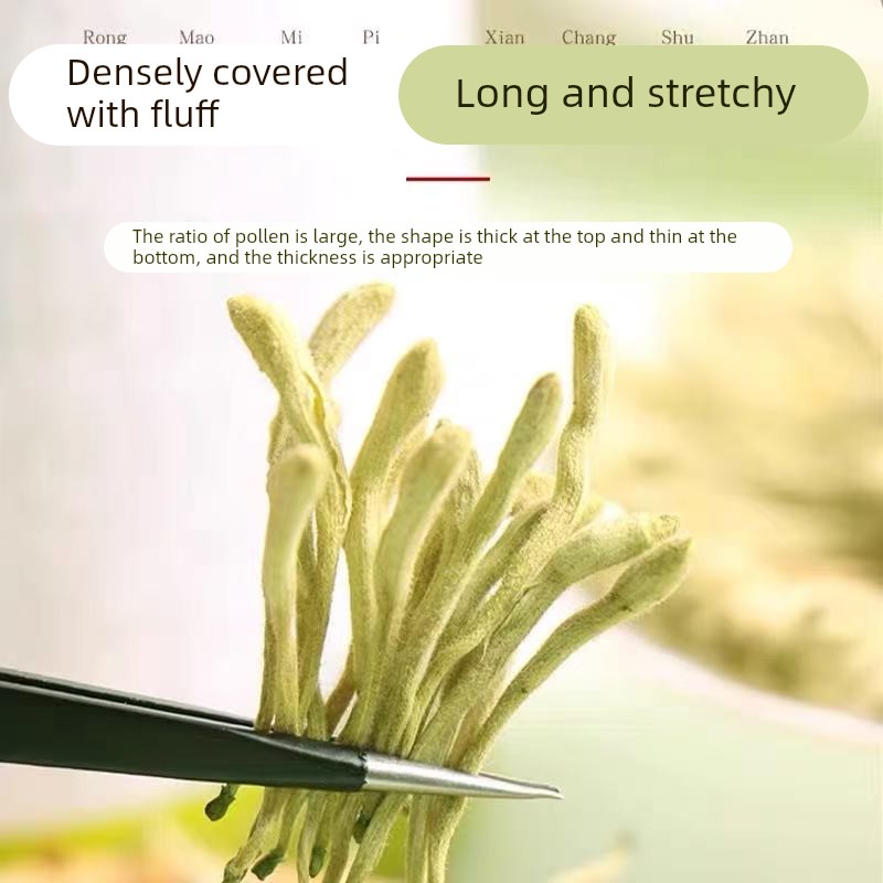 北同内廷上用金银花正品可搭菊花枸杞泡水泡茶蒲公英lk2枸杞黄芪