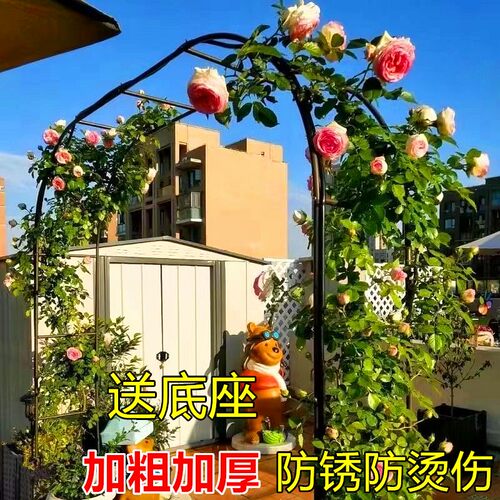 防锈拱门花架月季爬藤架葡萄架铁线莲蔷薇支架子户外庭院植物花架