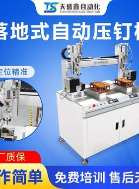 全自动压钉机双平台产品组装pin针打钉机自动放钉锁螺丝机高效