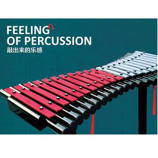 游乐场公园小区幼儿园景区游乐区等儿童户外打击乐器游乐设备厂家