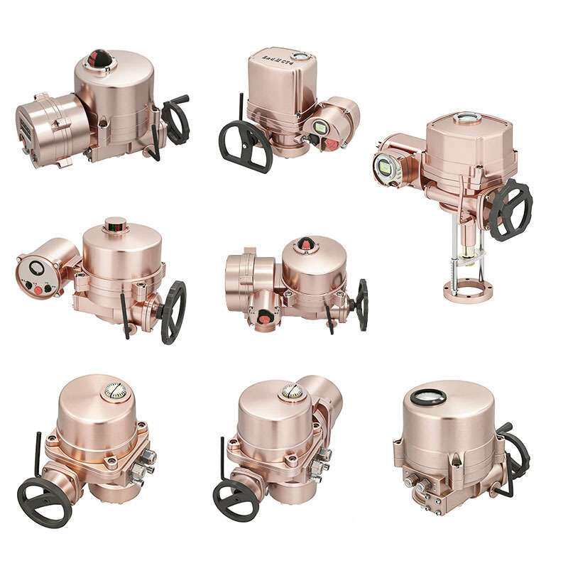 电动执行器 FRYQT10-1.IN.ZN电机25W输出转矩100N.m转速1r/min