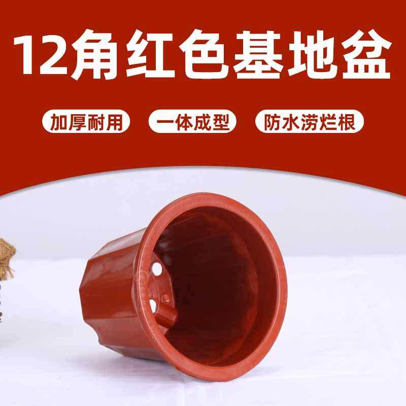 简约塑料花盆圆型盆公园绿化带植物盆基地桌面多肉花绿萝卉绿植盆