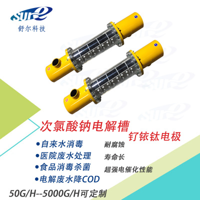 电解法次氯酸钠发生器自来水处理设备二氧化O氯发生器钌铱钛电极
