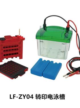 LF-ZY04蛋白转印电泳槽LF-31DN水平琼脂糖电泳槽英文版电泳槽