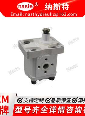 菲亚特A33XP4MS8129483517971982801275129438液压齿轮泵