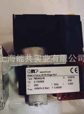 KNF高温取样泵PM24622-86CEMS烟气抽气泵VOC隔膜真空泵