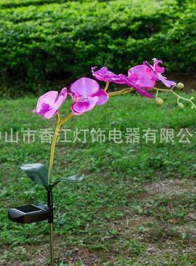 太阳能5头紫色蝴蝶兰花灯太阳能led仿真花灯户外庭院灯花园草坪灯