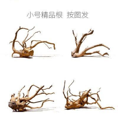 鱼缸造景杜鹃根小号树根南美神仙鱼缸造景软装树根树枝鱼缸装饰根