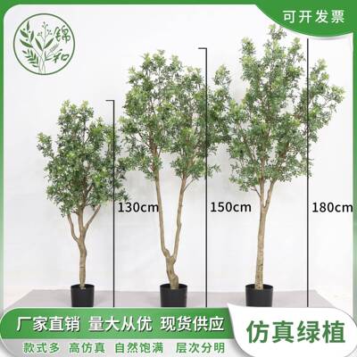 高端仿真九里香树大型落地装饰绿植盆栽室内家居摆件橱窗植物盆景