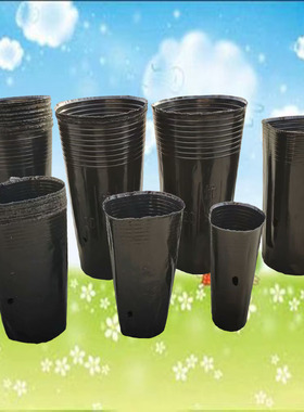 营养钵黑色塑料育苗杯育苗袋育苗盆一次性花盆加厚8*8营养杯西瓜