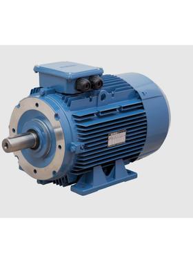 供应土耳其GAMAK电机GM2EAGM2EGM3EAGM3E系列电动机铸铁铝壳