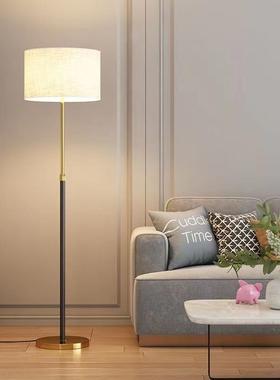 落地灯客厅卧室床头沙发边现代创意温馨装饰LED遥控网红立式台灯