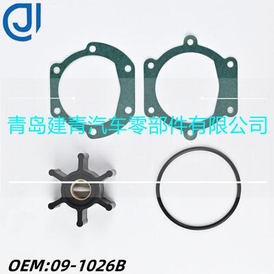 船机配件适用庄生JOHNSON海水泵橡胶柔性叶轮水泵维修包09-1026B