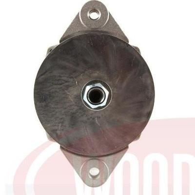 原装德科雷米21SI发电机190101823920617190203076008253261