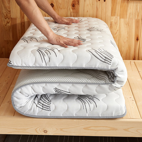 0.9x1.9m2学生椰棕床垫1米9九十公分宽一米九长90乘200cm190棕垫