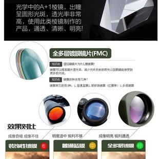 8倍十字单筒望远镜高倍高清上下左右瞄准器10倍镜猫头鹰观鸟观靶