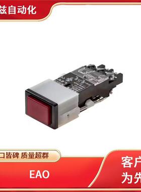 EAO杠杆开关704.609.1/ENG键盘K704.631.1673