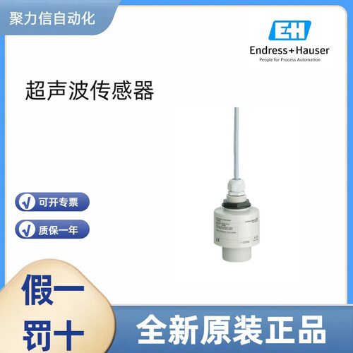 FDU91-RG2AA  恩德斯豪斯E+H 超声波液位计探头 电极电缆原厂现发