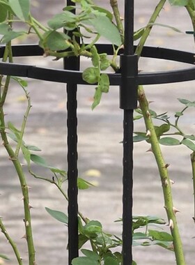 室外黑色8mm支架爬藤架园艺简易绿植U型攀爬Z植物花支架