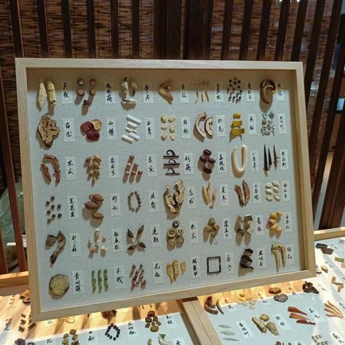 20寸大画框中药标本装饰画涵盖210味可挂墙送礼店铺装修植物标本